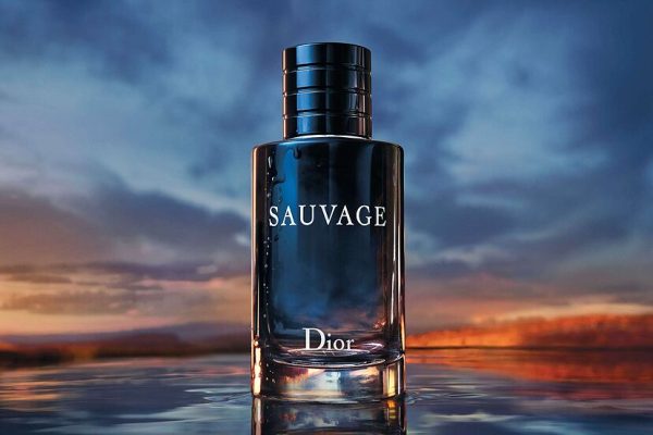 REF GF1048 SAUVAGE EAU DE TOILETTE PARA HOMBRE IMAGEN 7
